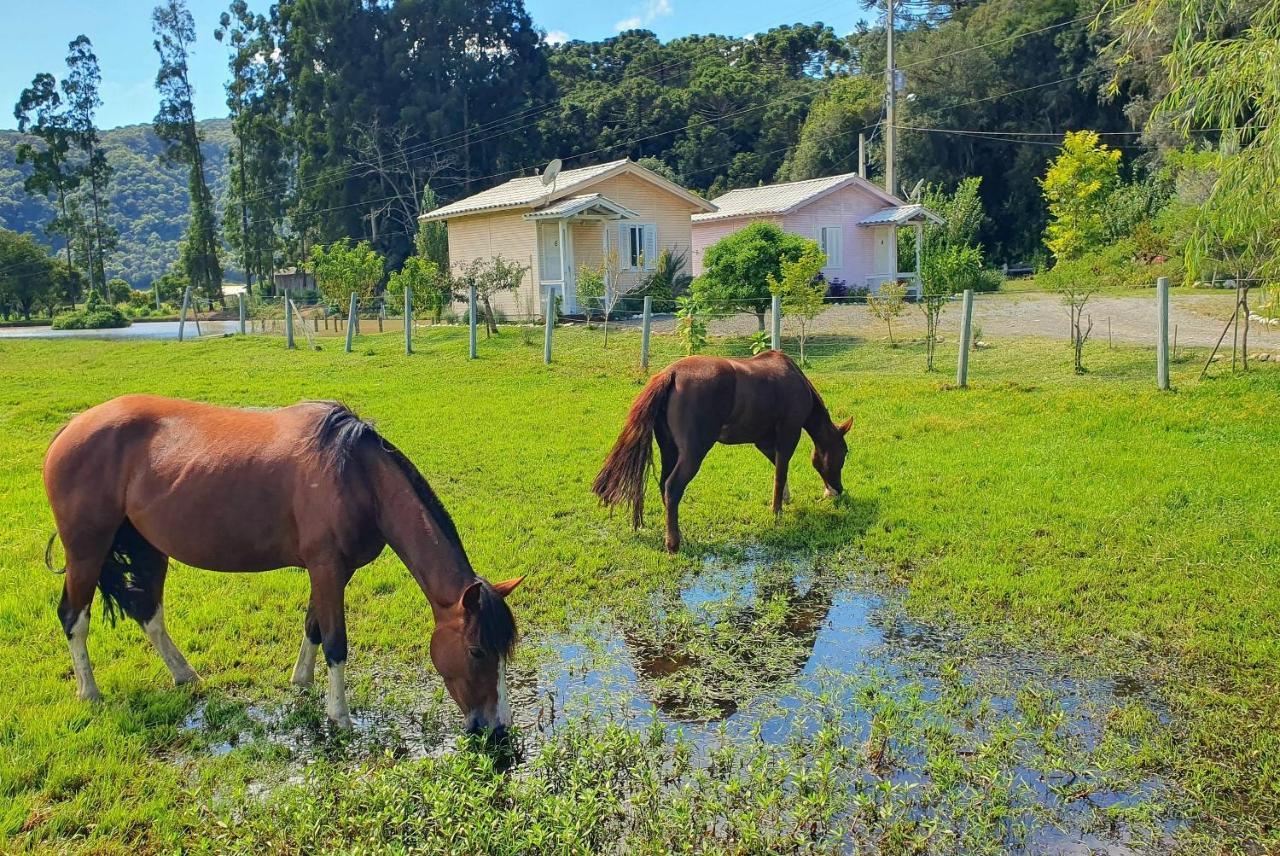 Pousada Mato Verde - Urubici - Sc Eksteriør bilde
